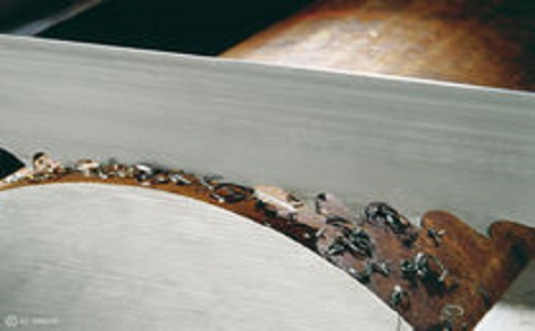 黑河带锯床线速度设定过高，为什么会导致带锯条齿尖发热加速锯条的磨损？